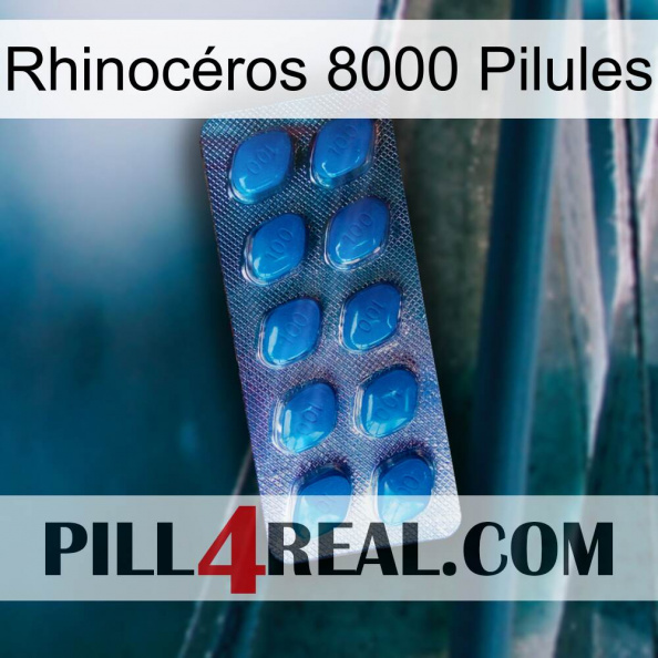 Rhinocéros 8000 Pilules viagra1.jpg